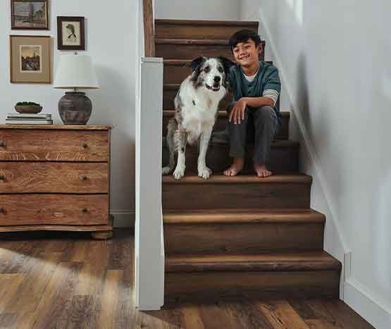 piso vinilico dos sonhos home img temp